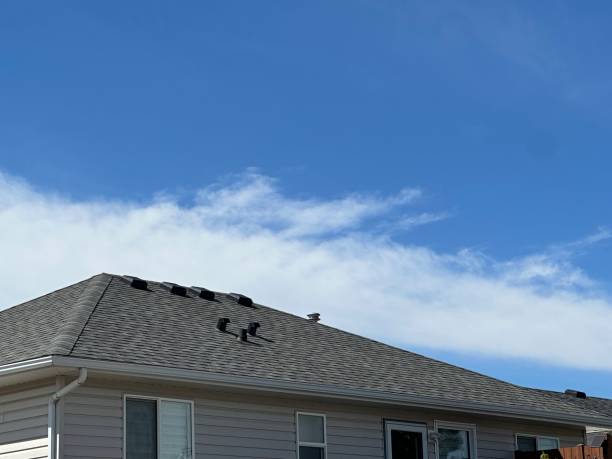 Trusted Camanche Village, CA Roofing Services Experts